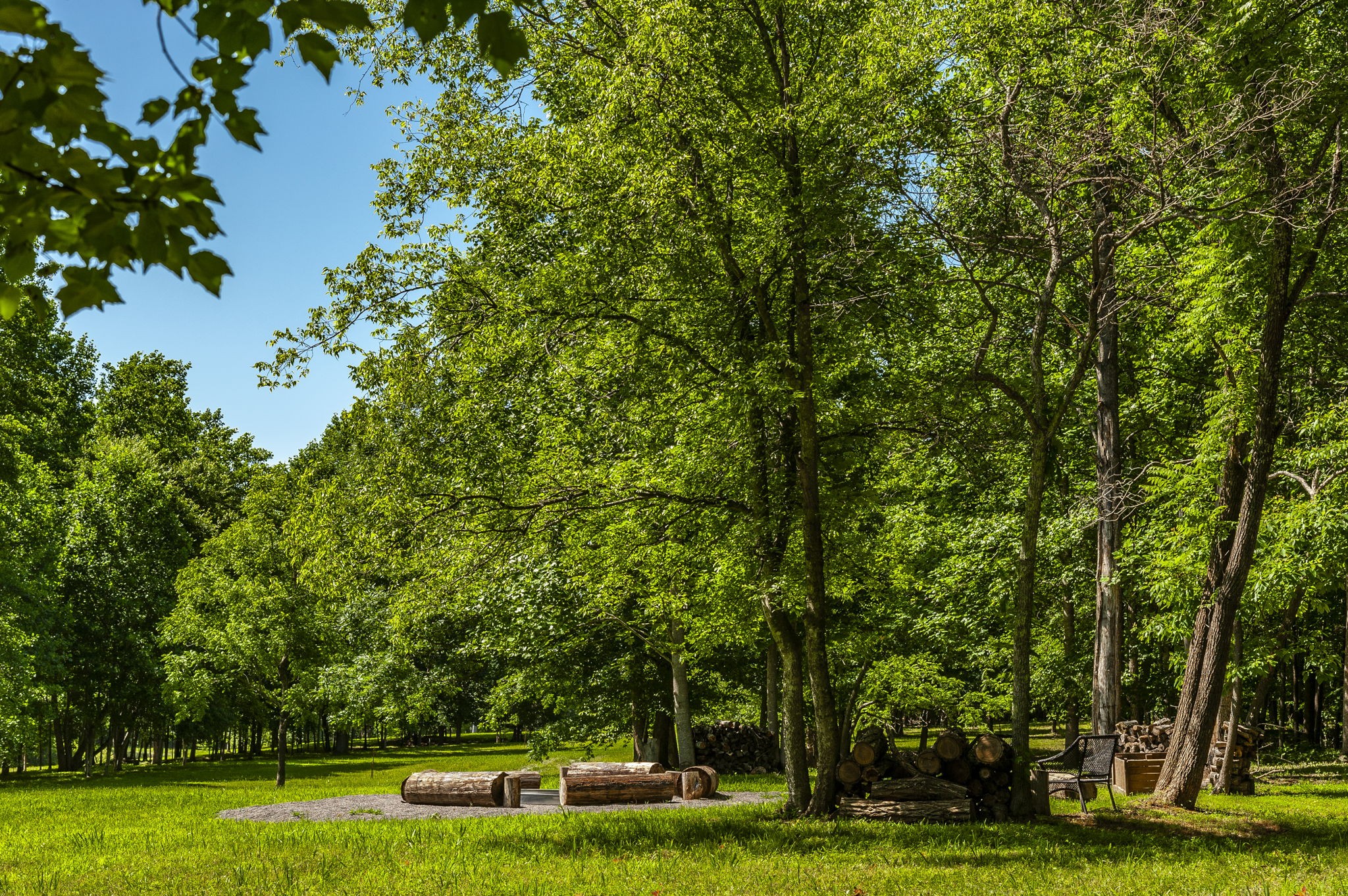 12 Keytown Road Gallatin, TN 37066 - Photo 3 of 43 a view of a park with large trees
