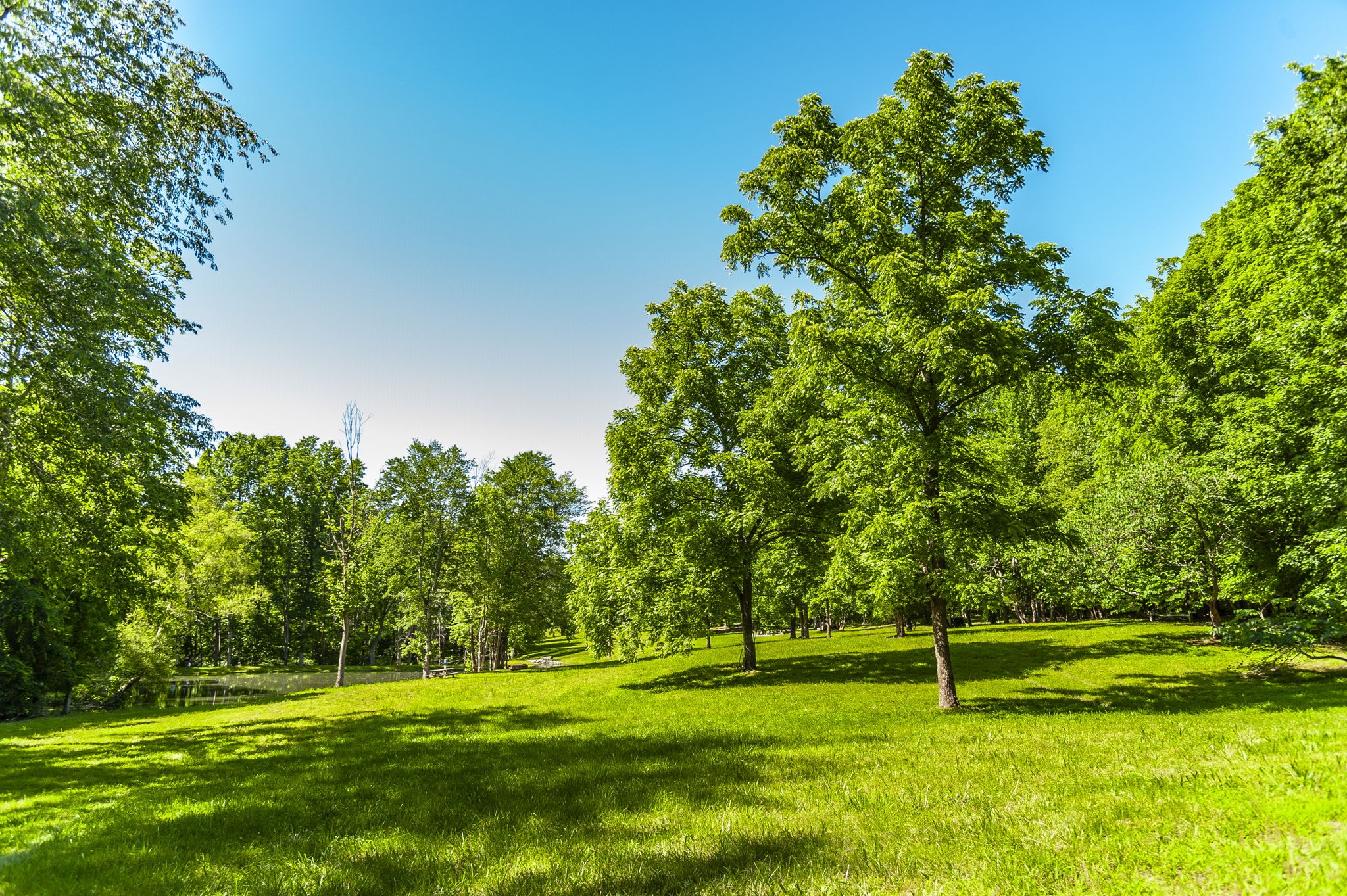 12 Keytown Road Gallatin, TN 37066 - Photo 34 of 43 a big yard with trees in the background