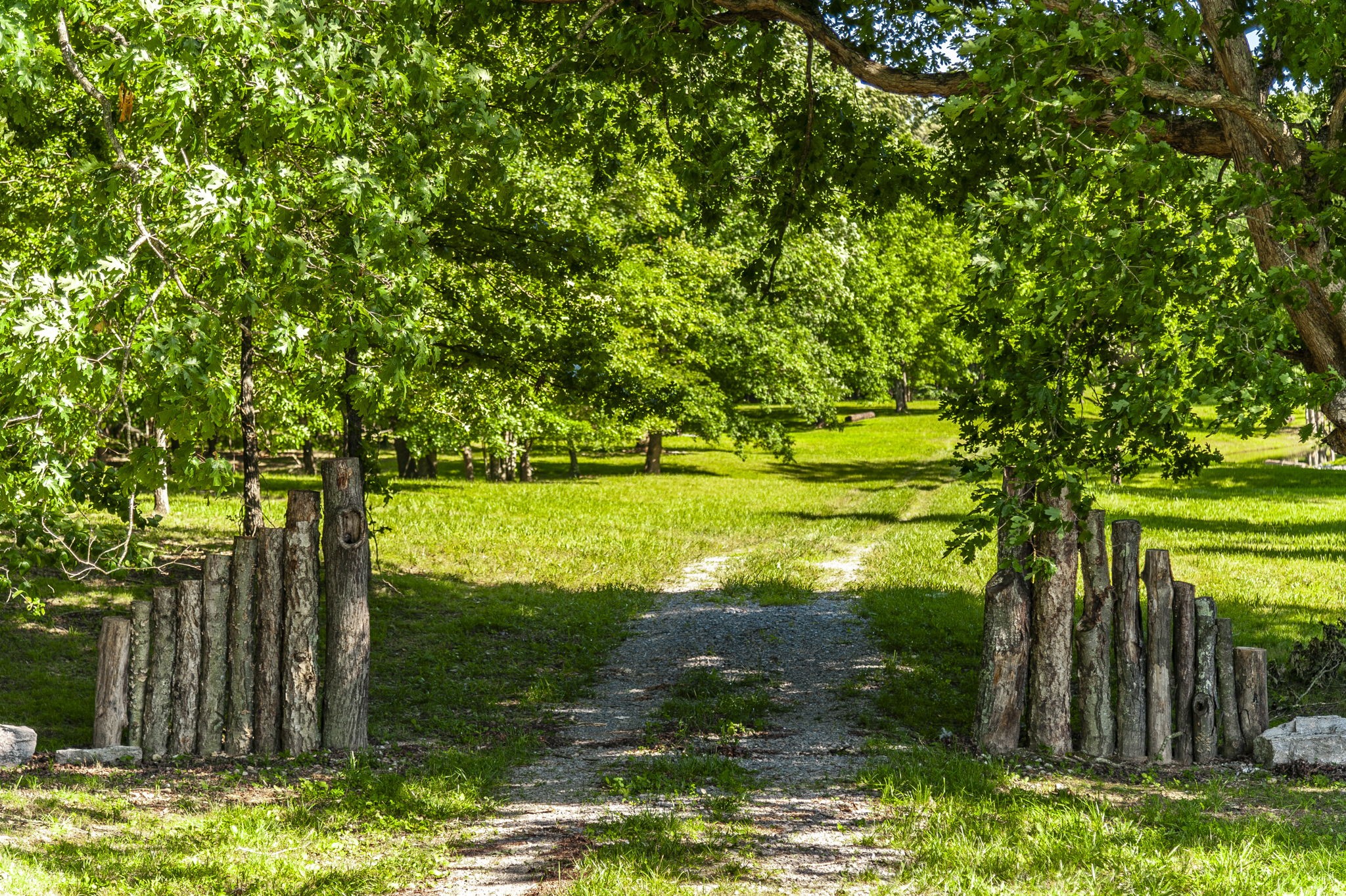 12 Keytown Road Gallatin, TN 37066 - Photo 42 of 43 a view of a trees in a yard