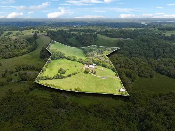 a swimming pool with trees in the background