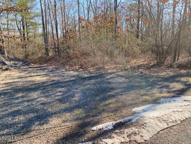 Lot #2 Fox Rdg Pk Drive Hawley, PA 18428 - Photo 3 of 4