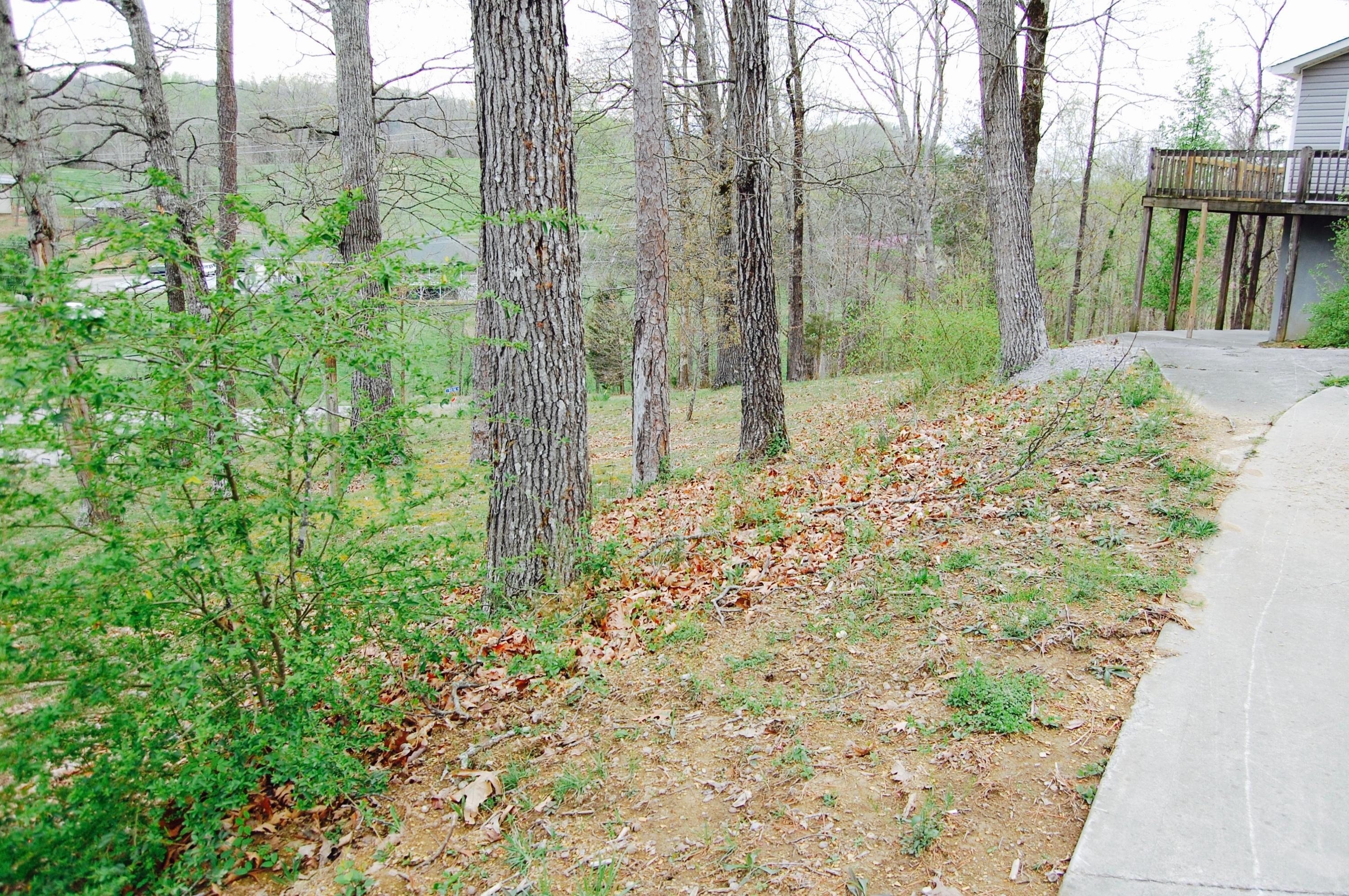 1823 Rays Gap Road Sevierville, TN 37876 - Photo 13 of 26 DSC_0105