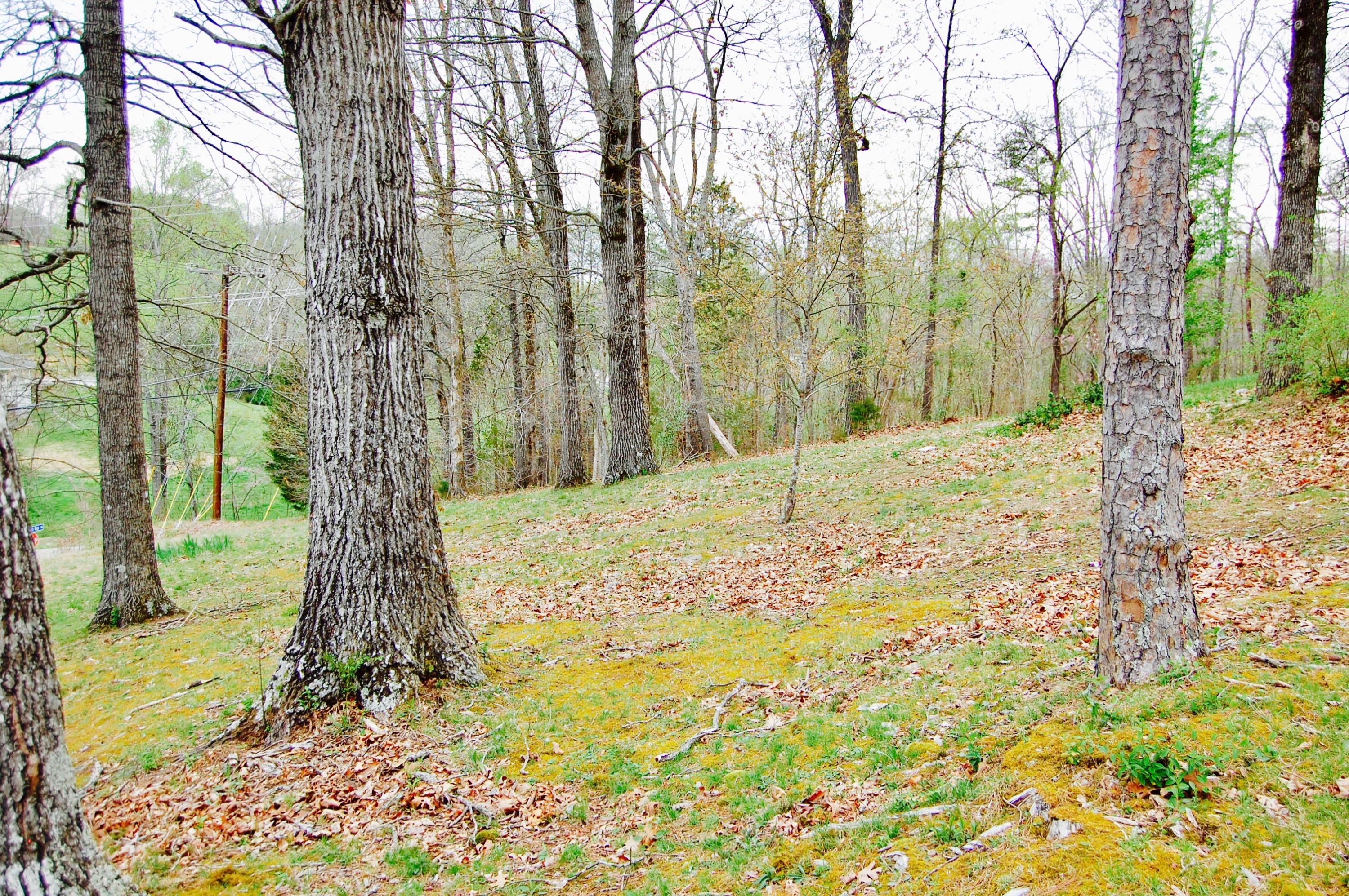 1823 Rays Gap Road Sevierville, TN 37876 - Photo 15 of 26 DSC_0110