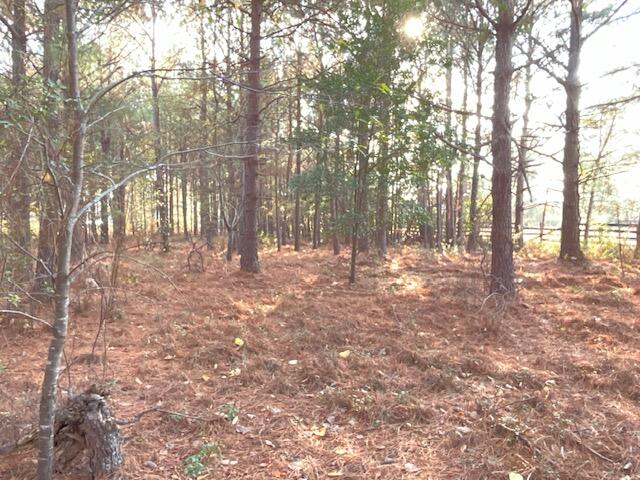 W/sd W/sd New Holland Road Wagener, SC 29164 - Photo 4 of 6