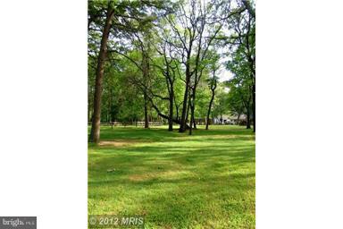179 Ryan Road Pasadena, MD 21122 - Photo 8 of 30 Just Beautiful