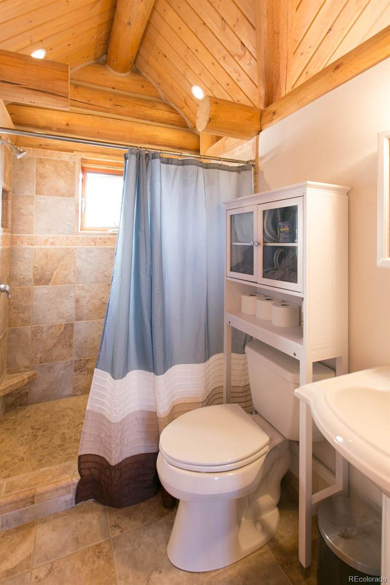 18342 Miller Canyon Ranch Road Glade Park, CO 81523 - Photo 20 of 38 a bathroom with a toilet and a shower