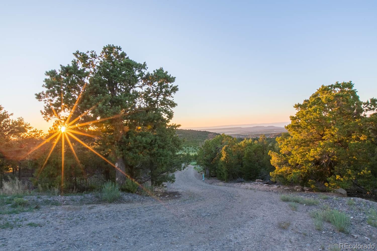 18342 Miller Canyon Ranch Road Glade Park, CO 81523 - Photo 36 of 38 a backyard of a house with lots of green space
