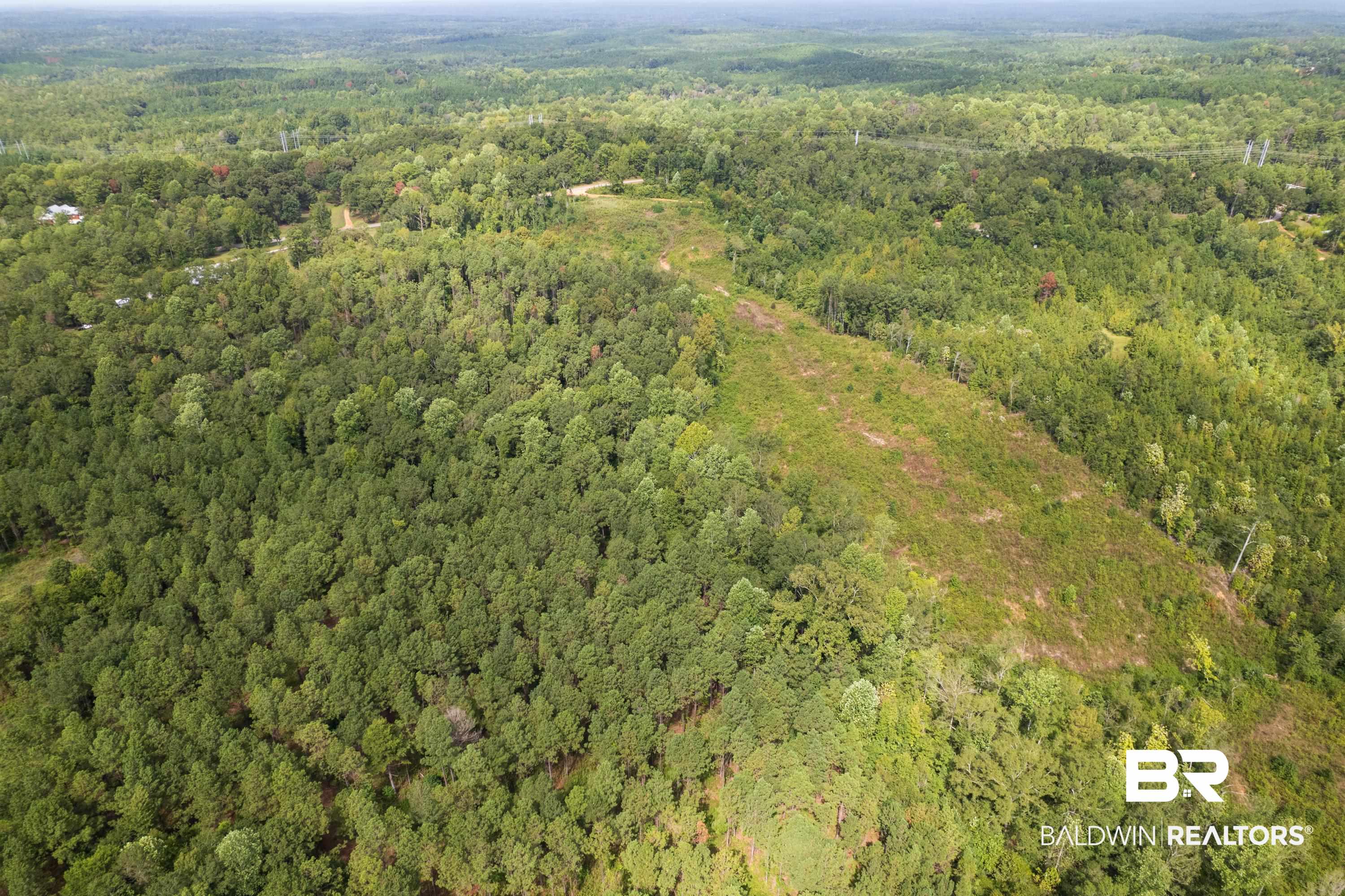 0 Chilton Road Grand Bay, AL 36541 - Photo 8 of 13