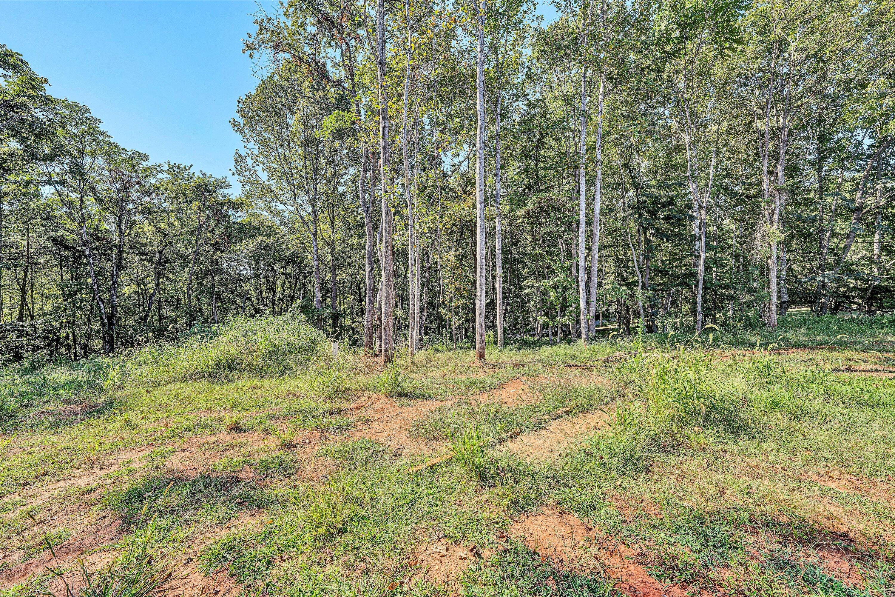 3769 Hales Ford Road Moneta, VA 24121 - Photo 22 of 26 a view of outdoor space and trees