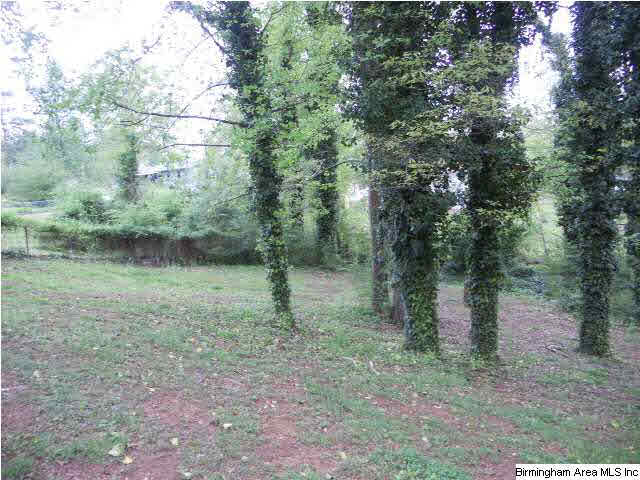 4012 Harris Avenue Adamsville, AL 35005 - Photo 11 of 11