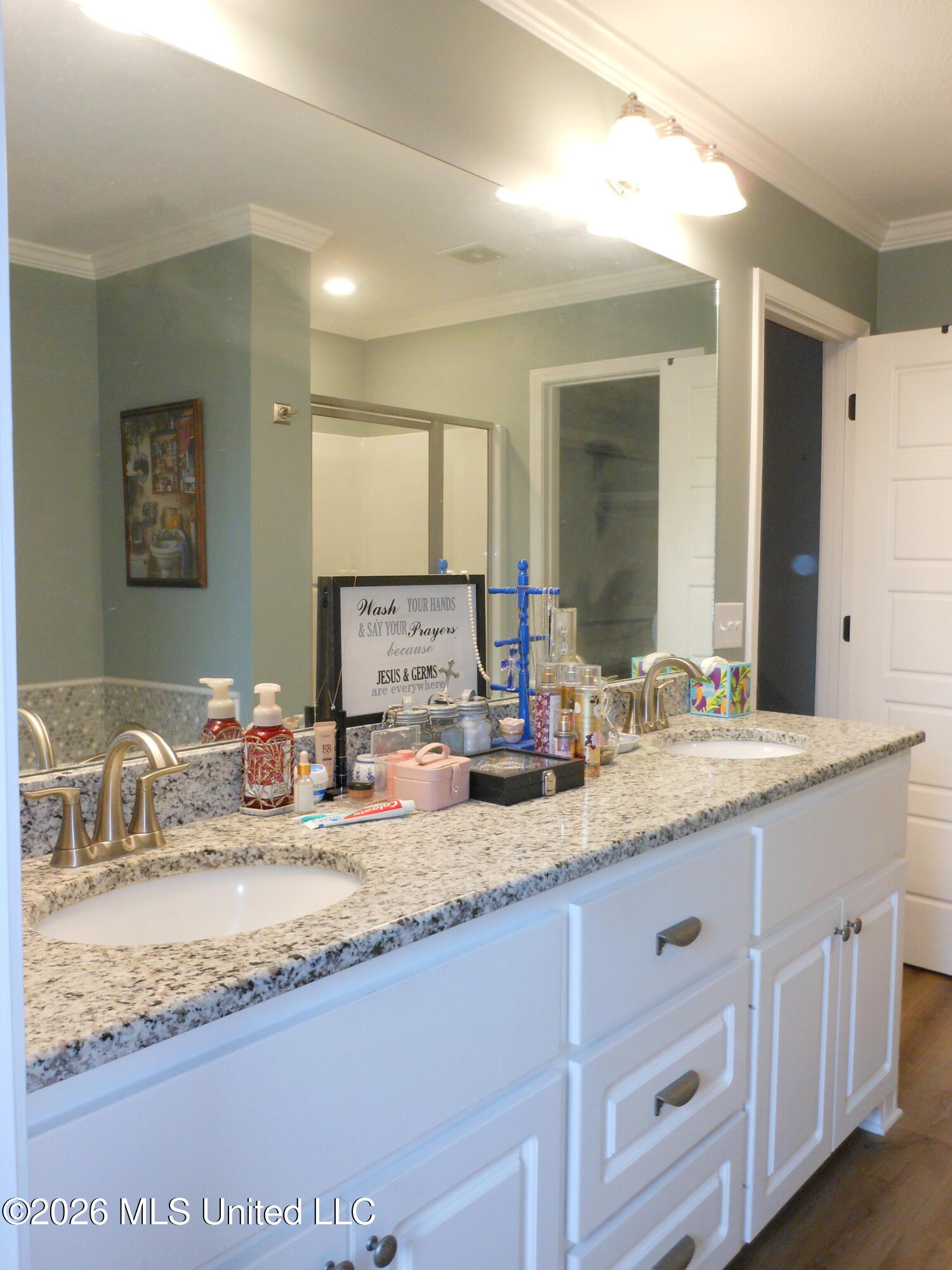 708 Lexington Drive Florence, MS 39073 - Photo 25 of 33 708 Lex MBA Dbl Vanity.2