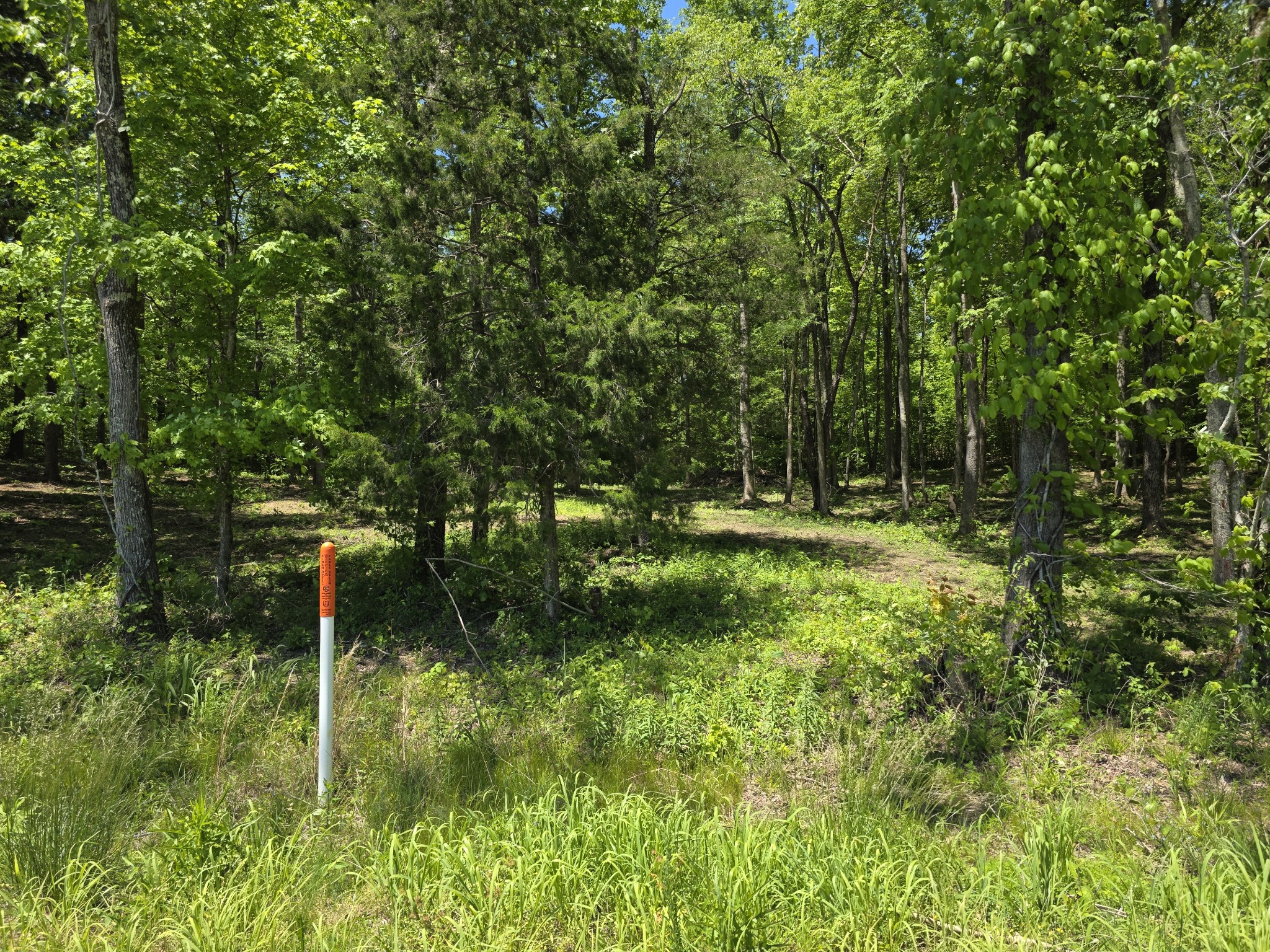 0 Birdsong Road Holladay, TN 38341 - Photo 8 of 29 Gallery Image 8