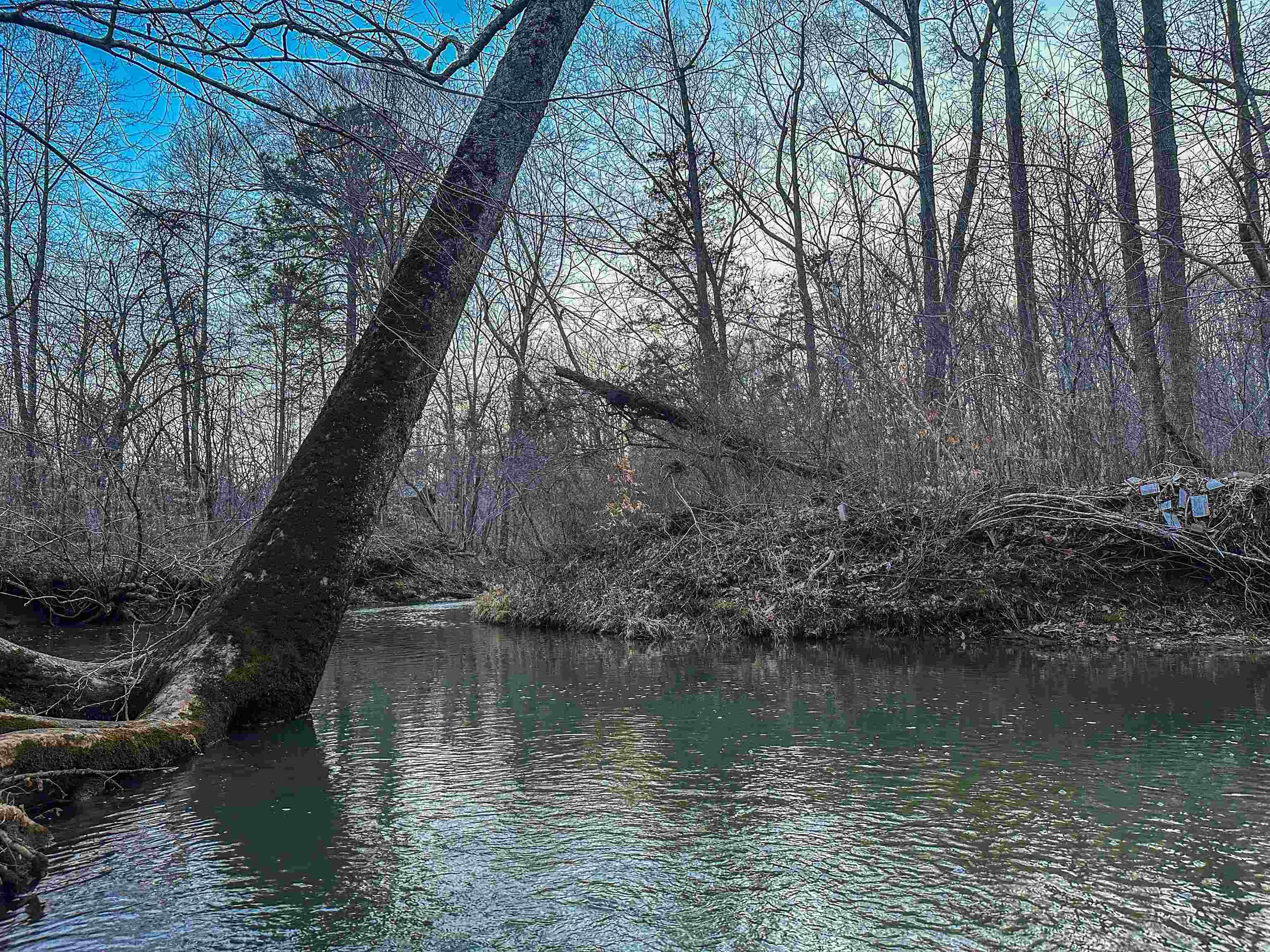 Tbd Carter Road Schuyler, VA 22969 - Photo 15 of 36 a view of lake