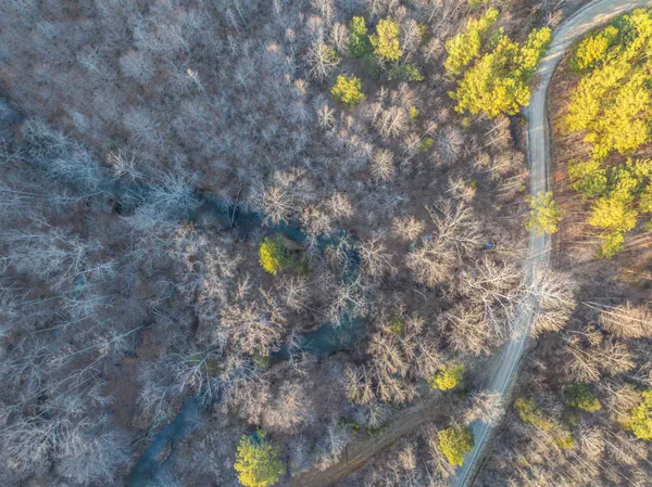 a view of a lake from a yard