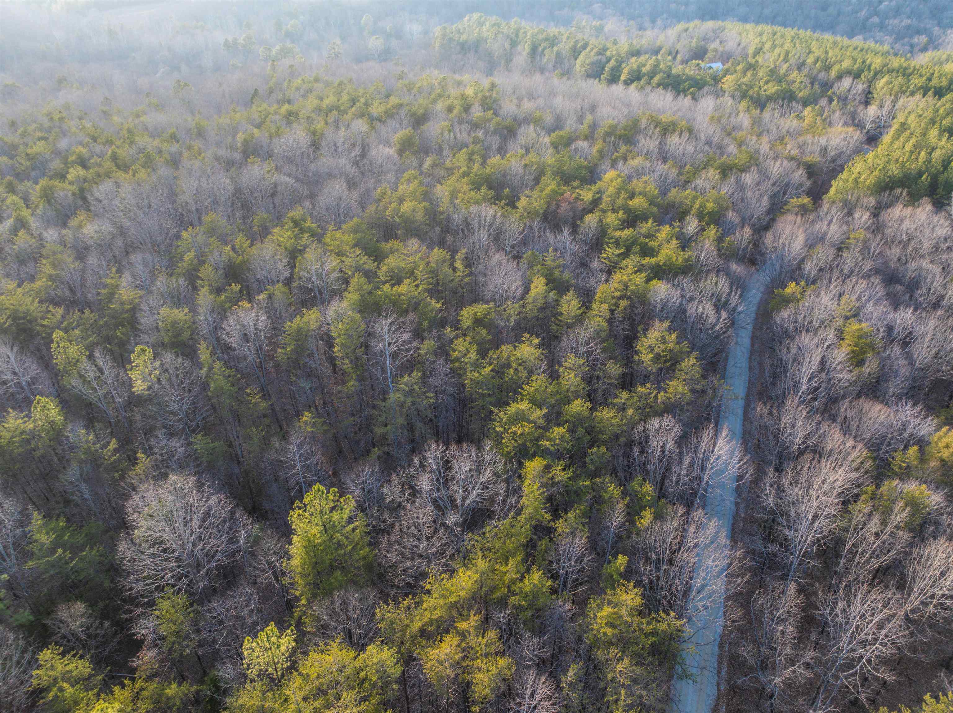Tbd Carter Road Schuyler, VA 22969 - Photo 18 of 36