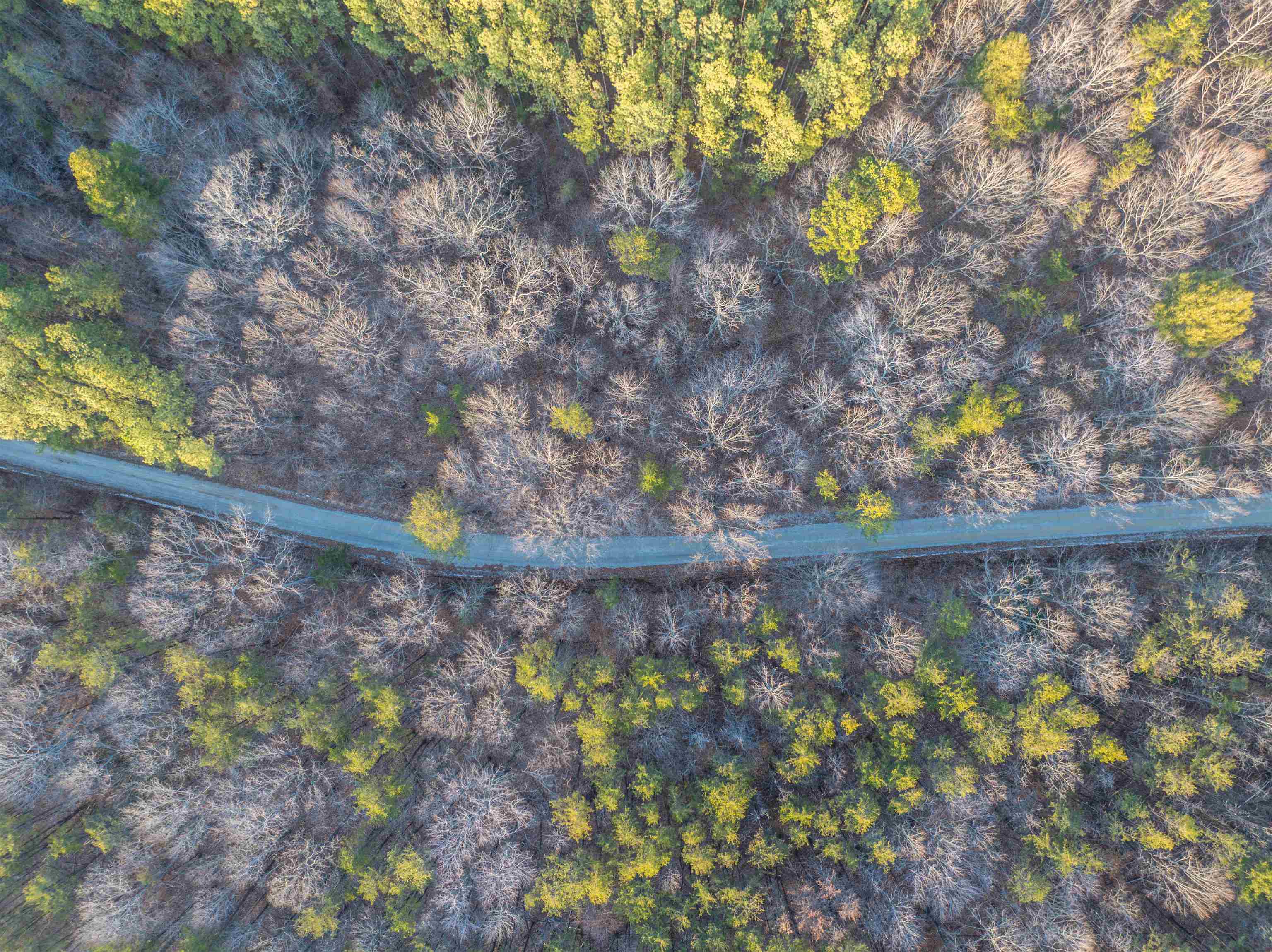 Tbd Carter Road Schuyler, VA 22969 - Photo 19 of 36 a view of a lake from a yard