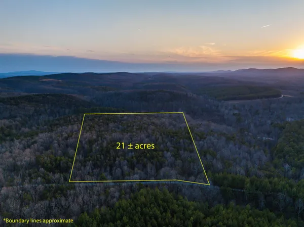 a view of outdoor space