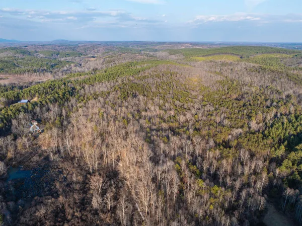 a view of a bunch of trees and bushes
