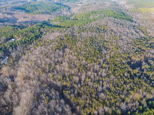 a view of mountain and green field