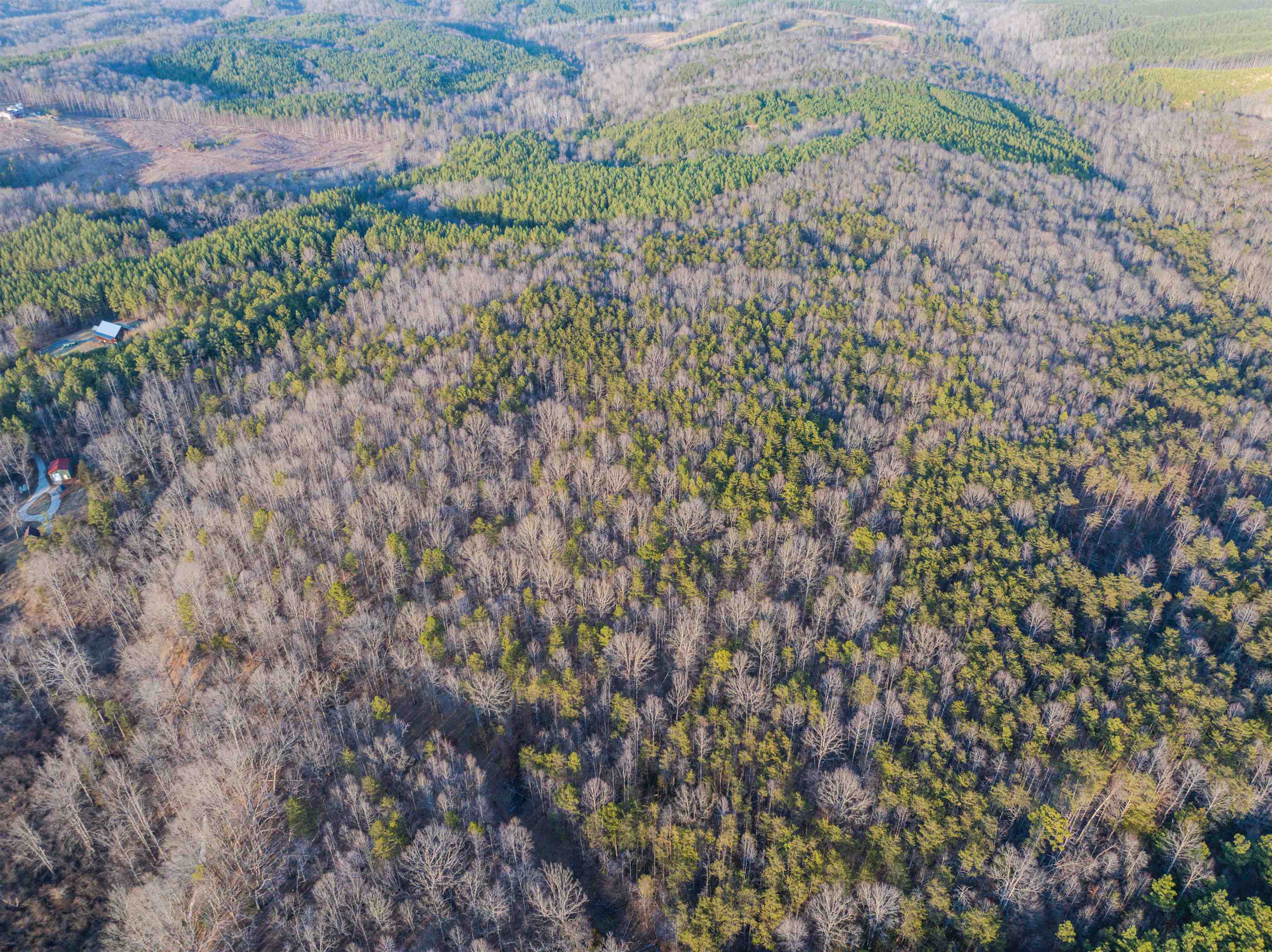 Tbd Carter Road Schuyler, VA 22969 - Photo 23 of 36 a view of a yard with plants and wooden fence