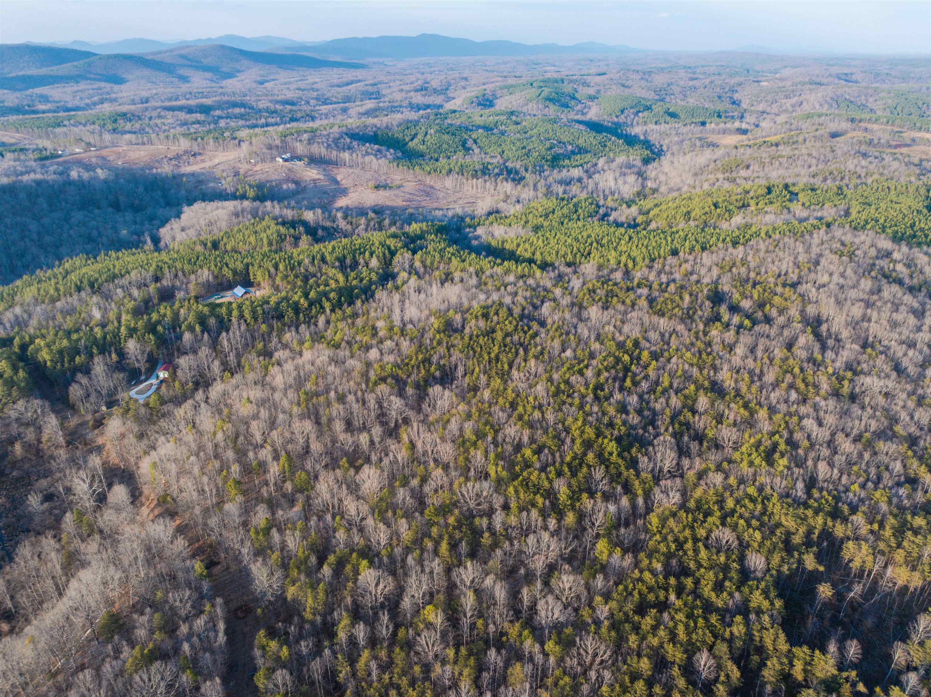Tbd Carter Road Schuyler, VA 22969 - Photo 25 of 36 a view of a bunch of trees and bushes
