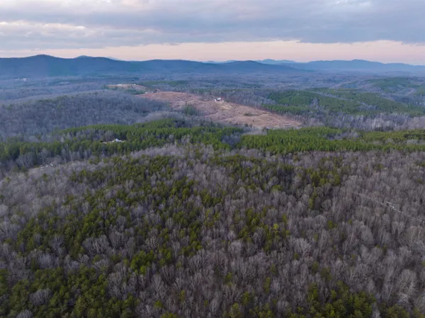 a view of a dry yard