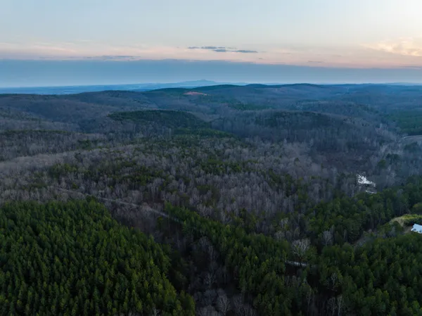 a view of a dry yard with green space
