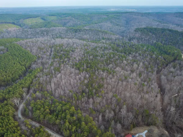 $119,000 | Tbd Carter Road, Schuyler, VA 22969