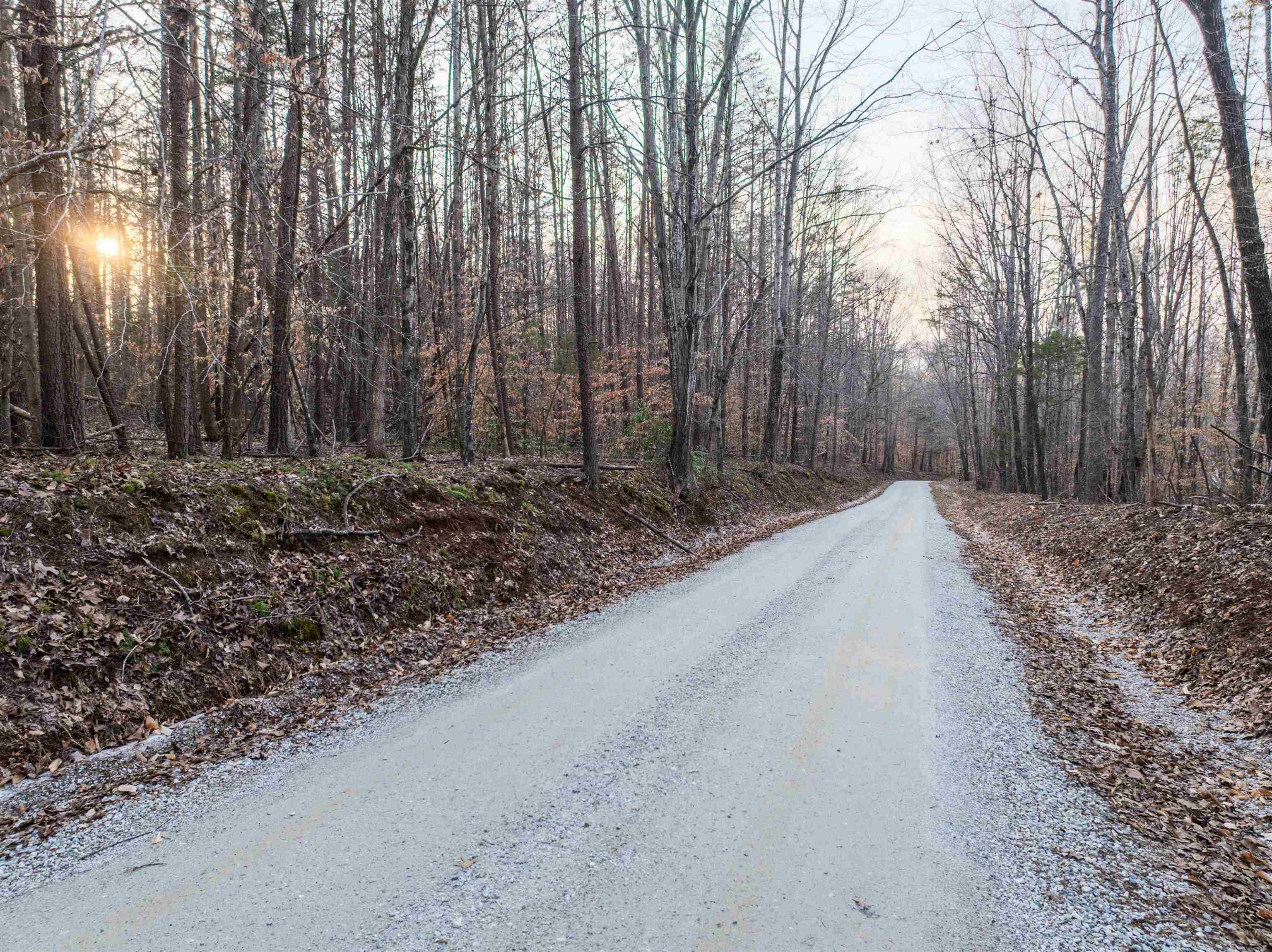 Tbd Carter Road Schuyler, VA 22969 - Photo 4 of 36 a wooden bench with trees in the background