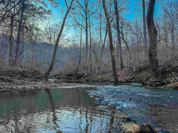 a view of a backyard with trees