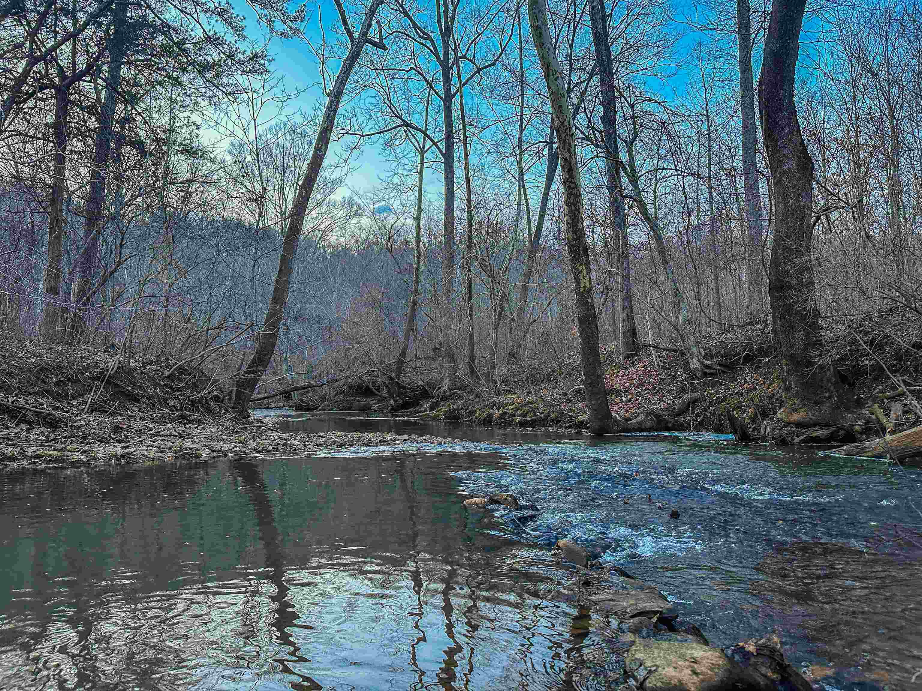 Tbd Carter Road Schuyler, VA 22969 - Photo 5 of 36 a backyard of a house with lots of green space