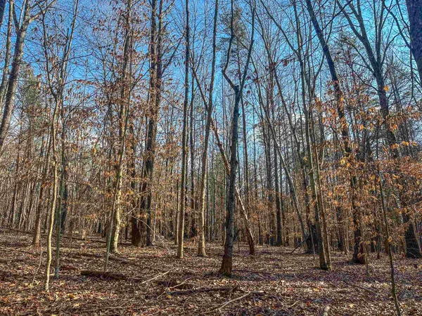 a bathroom with a shower curtain