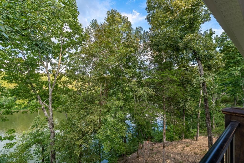 300 Chandler Road Doyle, TN 38559 - Photo 47 of 81
