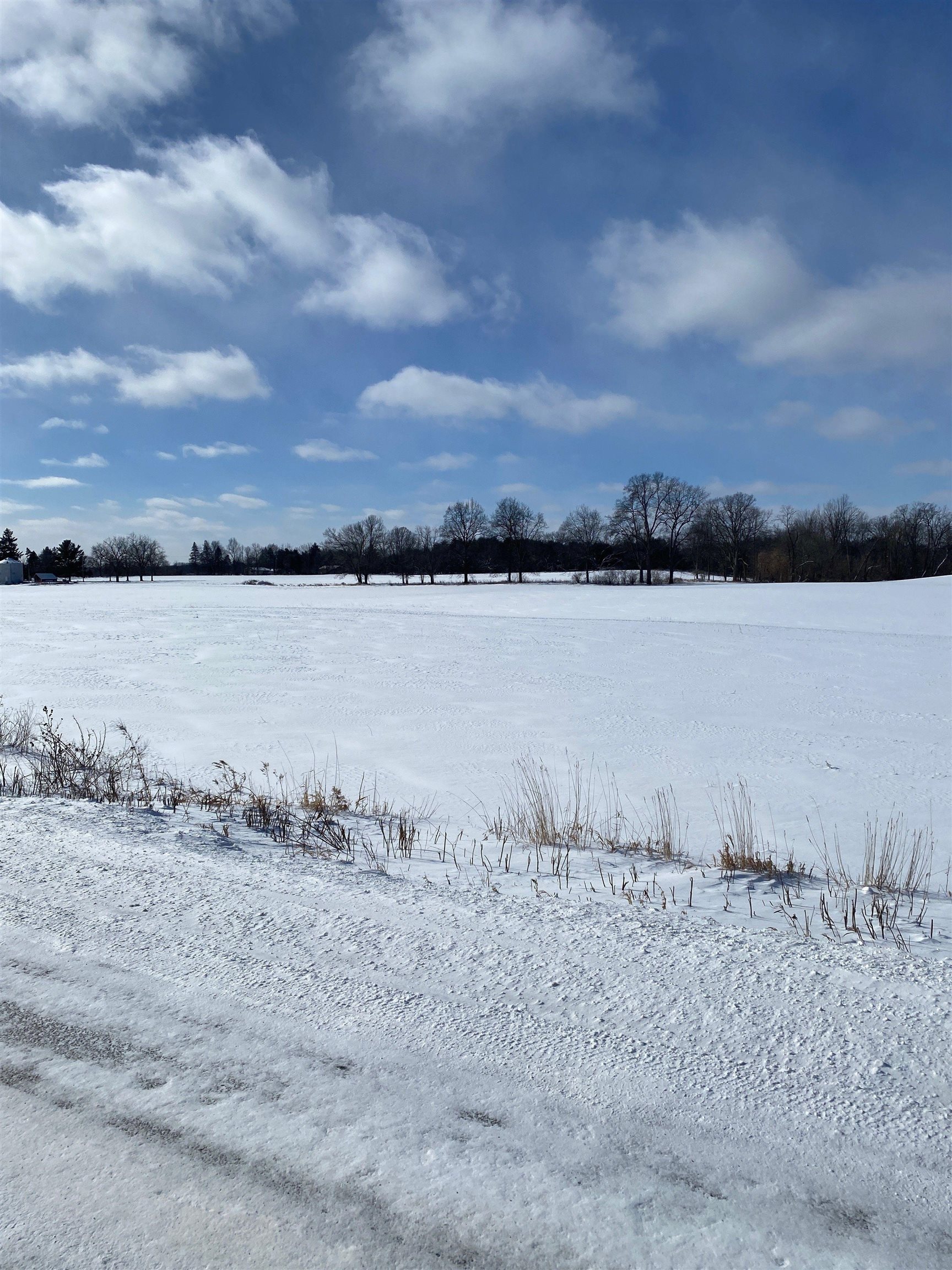 0 Fenner (010) Road Perry, MI 48872 - Photo 4 of 5