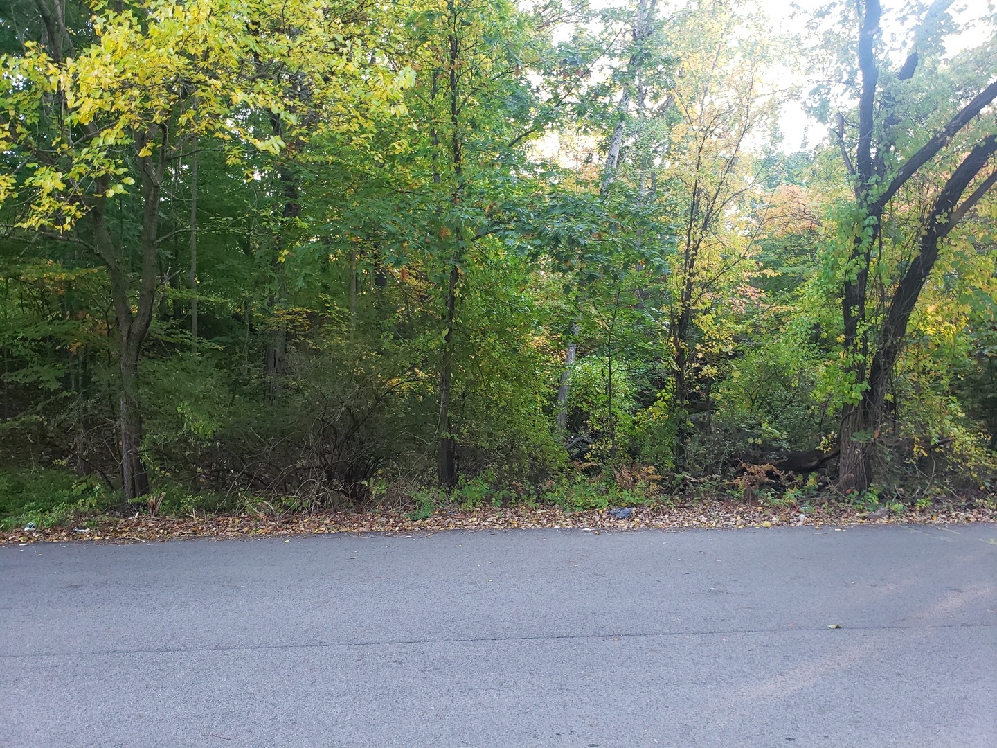 7411 Ash Avenue Gary, IN 46403 - Photo 12 of 14 a view of a yard and a yard