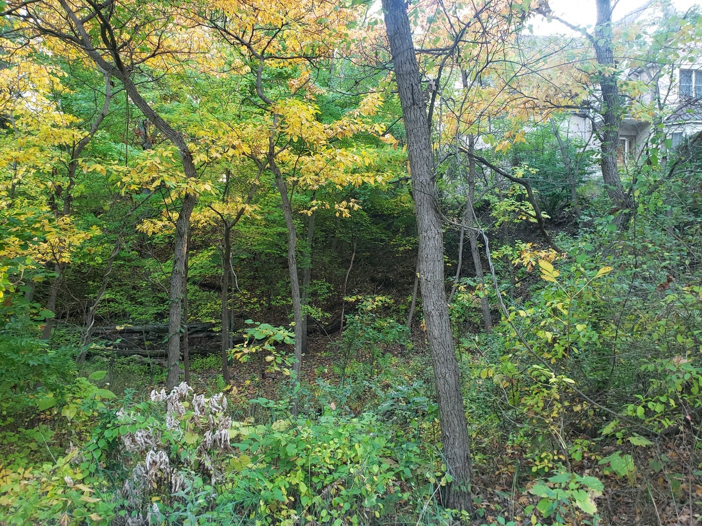 7411 Ash Avenue Gary, IN 46403 - Photo 4 of 14