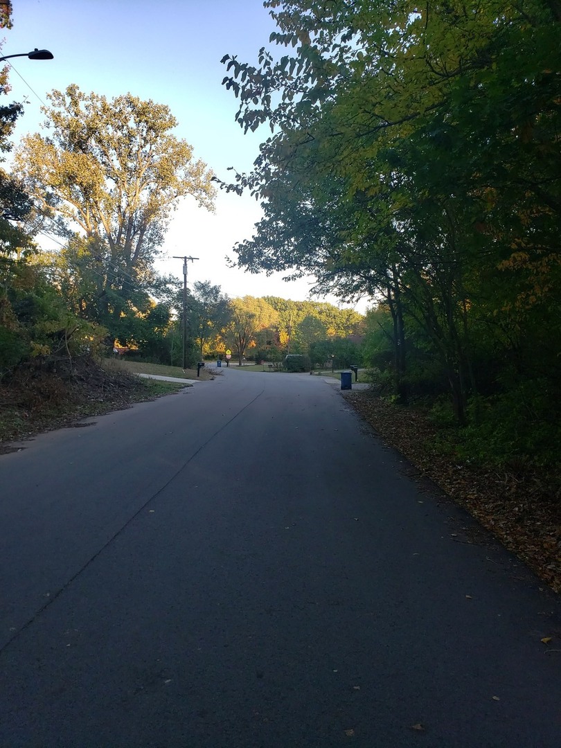 7411 Ash Avenue Gary, IN 46403 - Photo 6 of 14 a view of outdoor space and yard