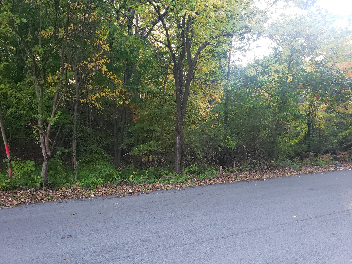 7411 Ash Avenue Gary, IN 46403 - Photo 8 of 14 a view of a road with trees in the background