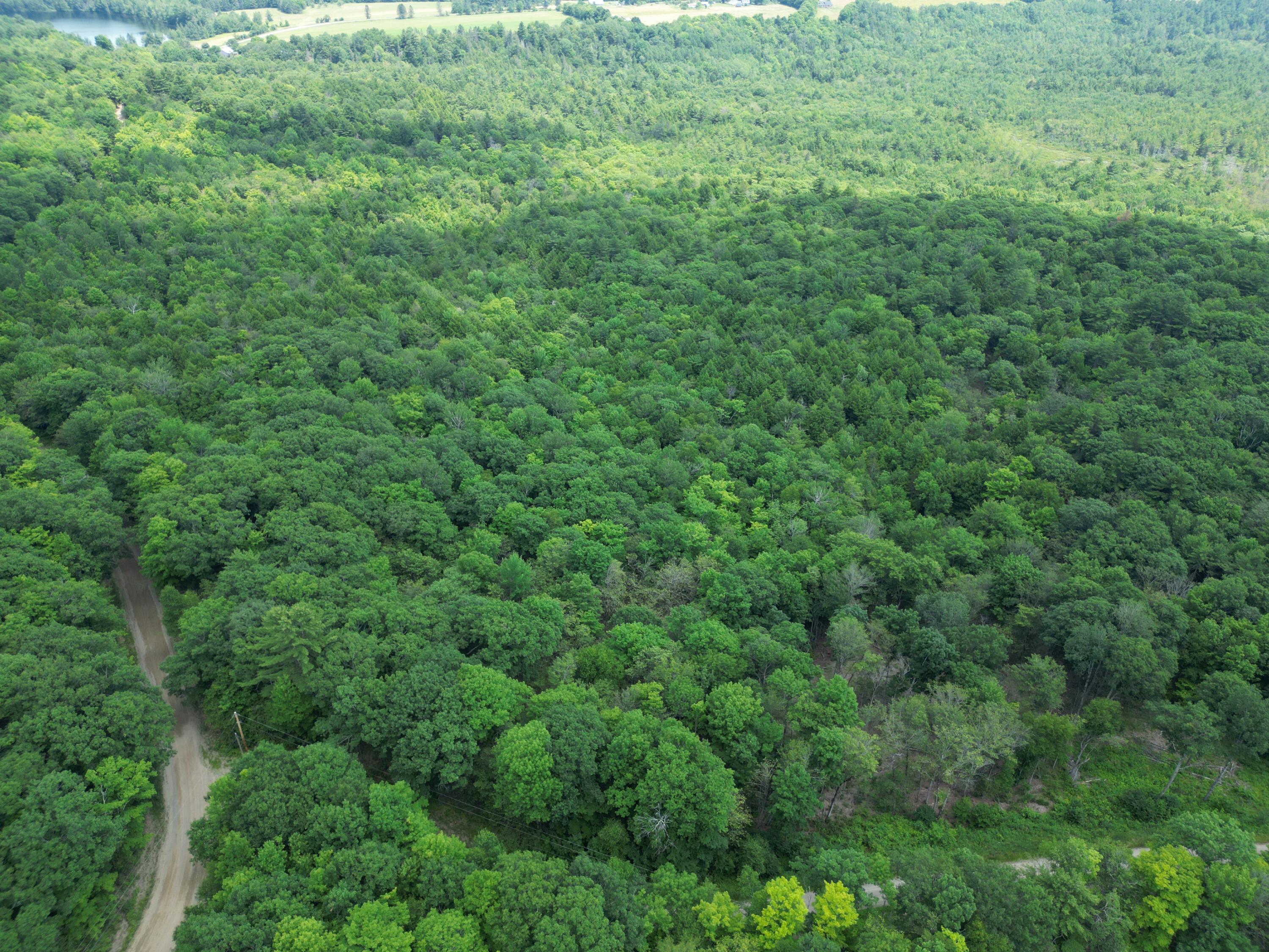 32-acres Belden Woods Road Palermo, ME 04354 - Photo 24 of 28 dji_fly_20260417_124520_726_178356354685