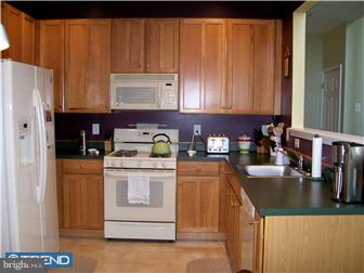 102 Threadleaf Terrace Burlington, NJ 08016 - Photo 6 of 12 Kitchen