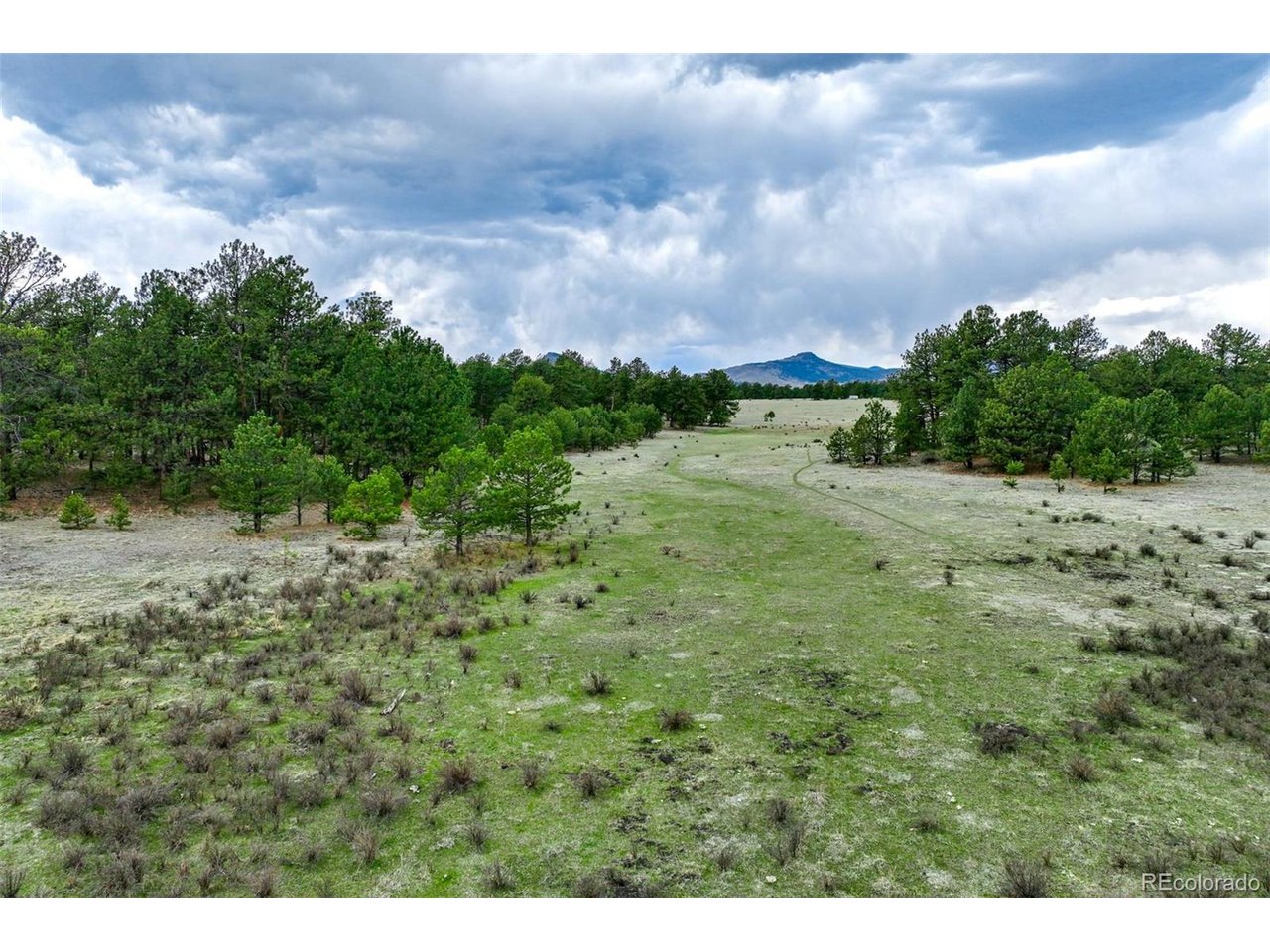 103 Doe Valley Road Guffey, CO 80820 - Photo 26 of 46