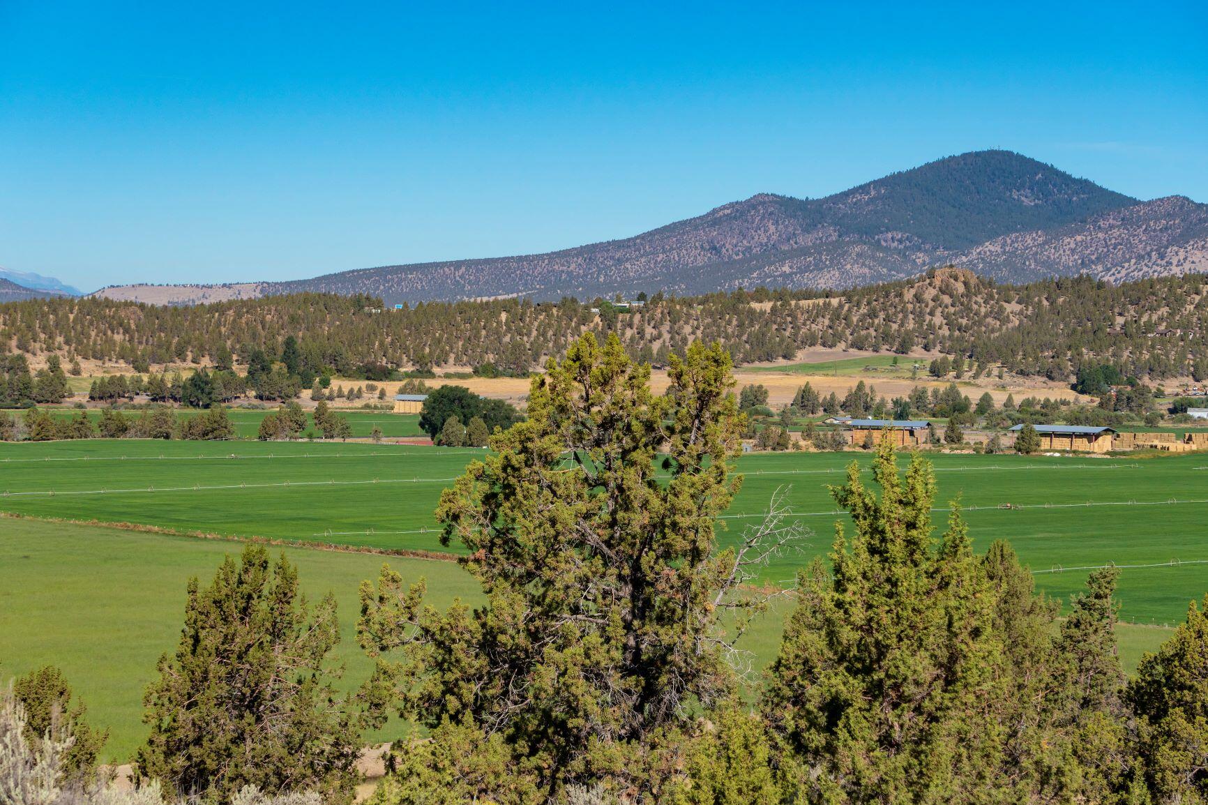 304 McKay Road Prineville, OR 97754 - Photo 15 of 15 a view of a town with mountains in the background