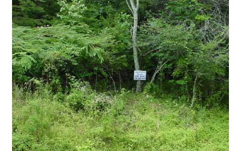 Big Creek Road Ellijay, GA 30540 - Photo 1 of 1 Main View