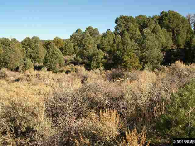21740 Sullivan Road Reno, NV 89521 - Photo 2 of 8 a view of a bunch of trees and bushes
