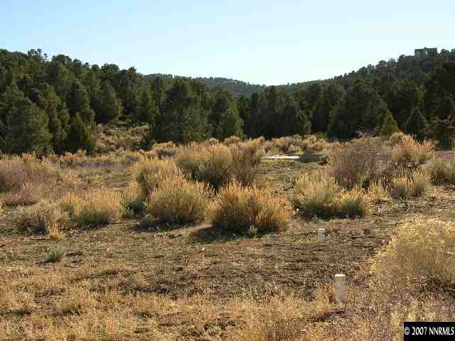21740 Sullivan Road Reno, NV 89521 - Photo 3 of 8 a view of a dry yard
