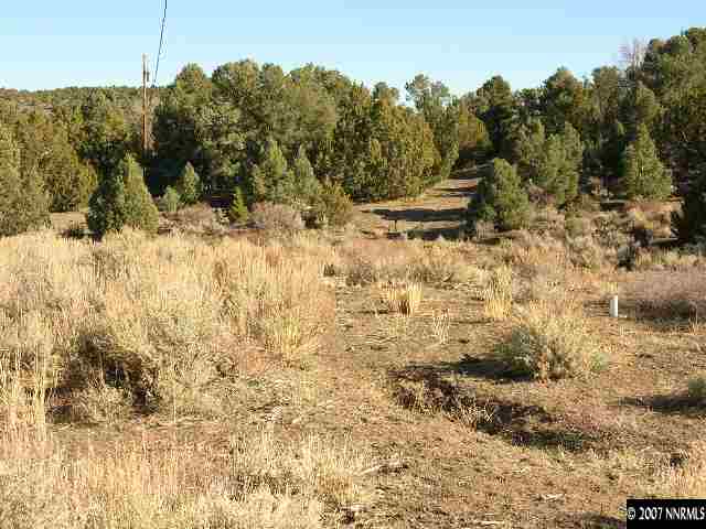 21740 Sullivan Road Reno, NV 89521 - Photo 4 of 8 a view of a yard with a tree