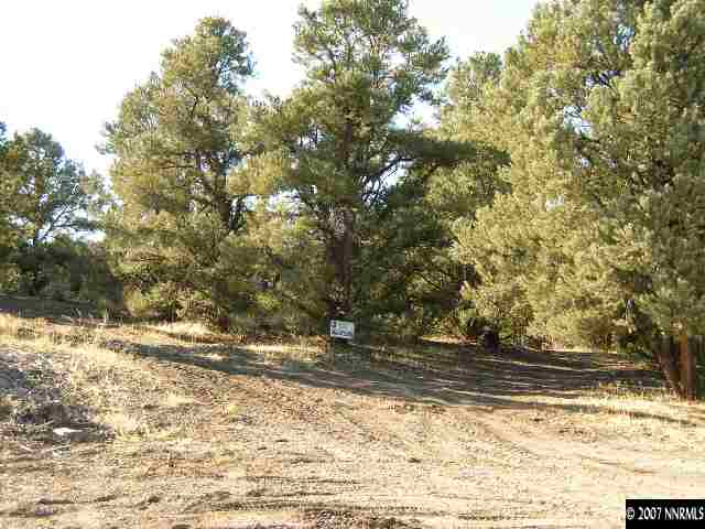 21740 Sullivan Road Reno, NV 89521 - Photo 7 of 8 a view of empty space and tree