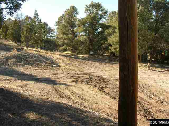21740 Sullivan Road Reno, NV 89521 - Photo 8 of 8 a view of a yard with wooden fence