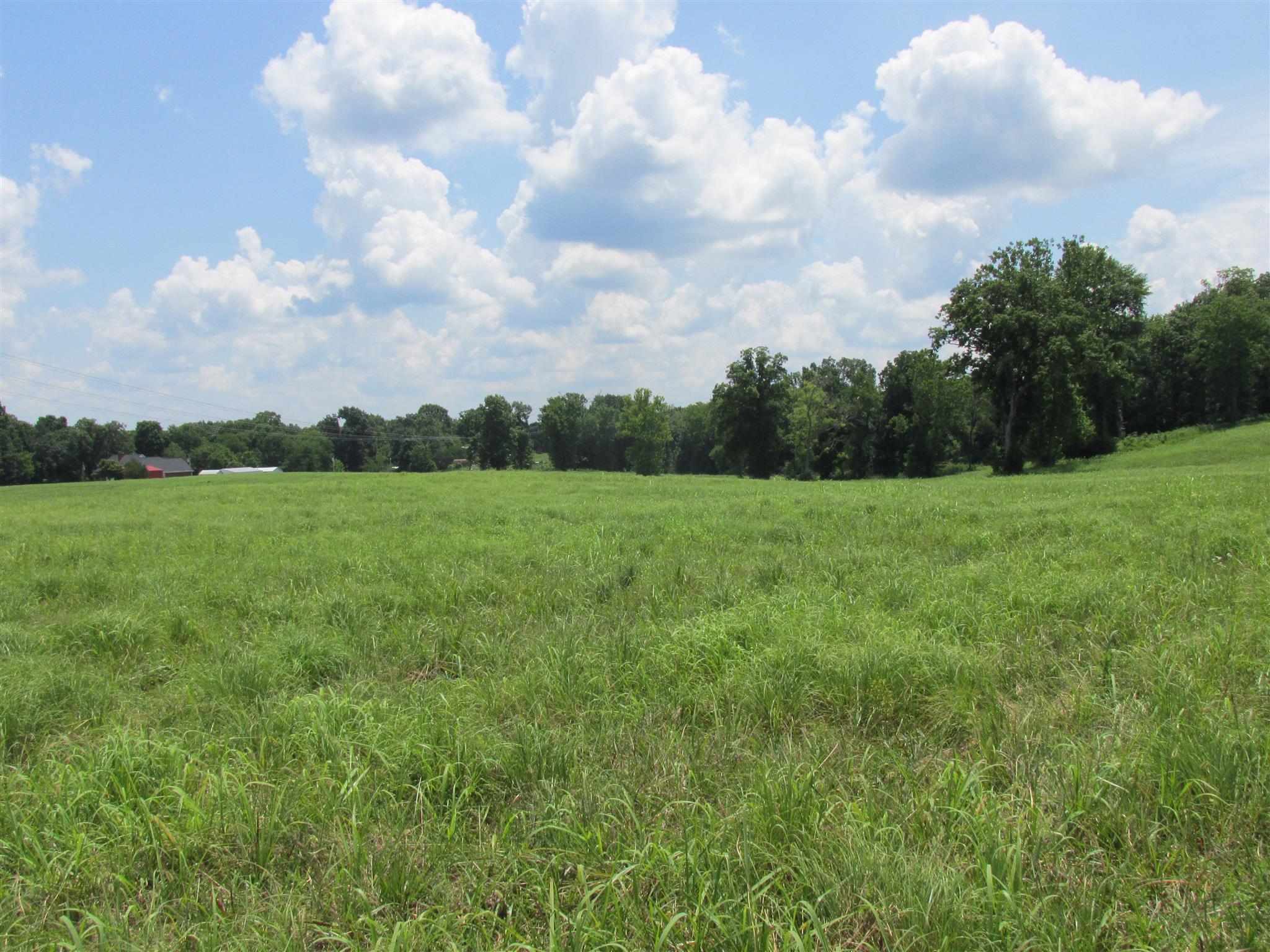 0 Rieves Bend Columbia, TN 38401 - Photo 1 of 8 Gallery Image 1