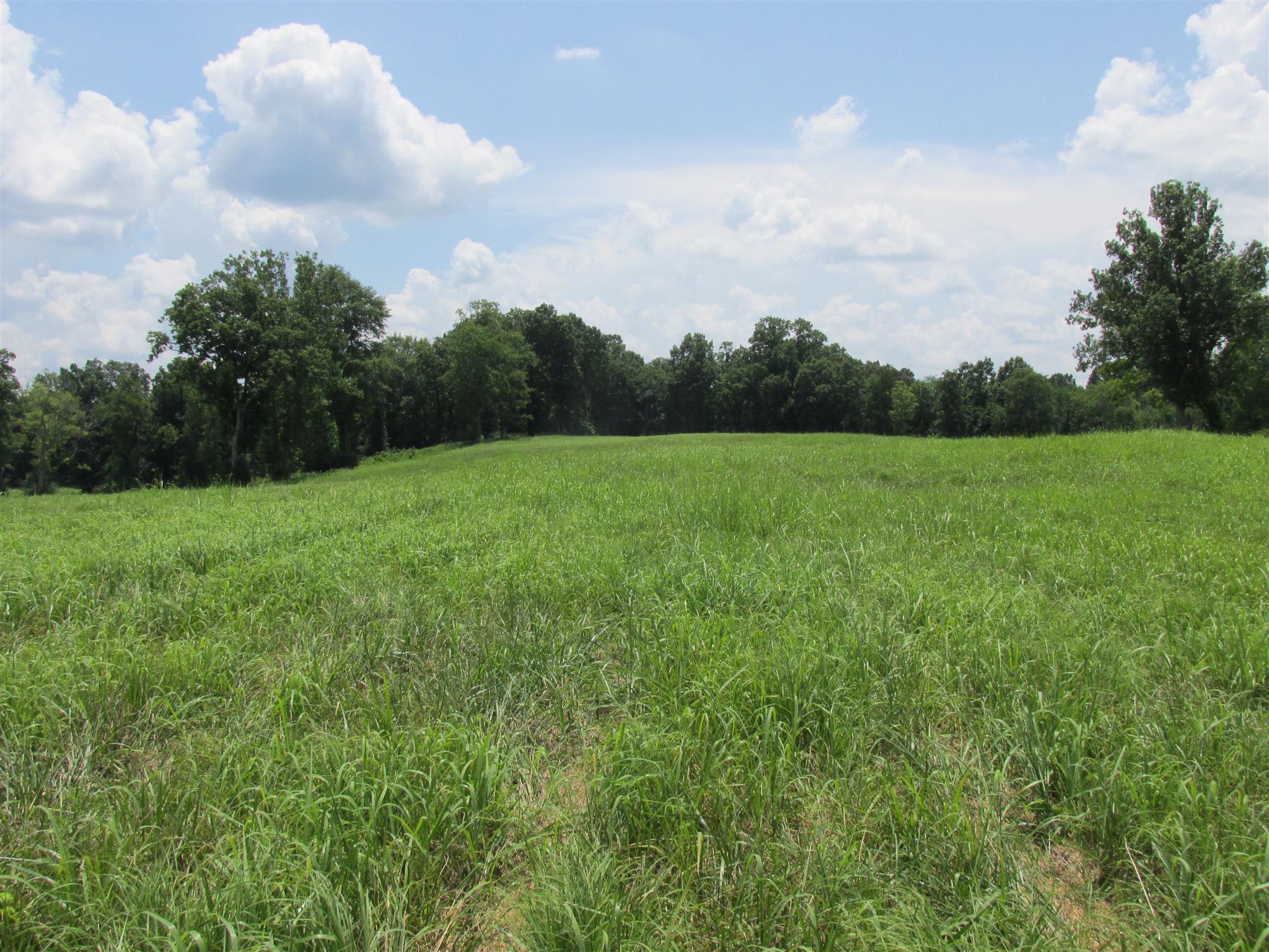0 Rieves Bend Columbia, TN 38401 - Photo 2 of 8 Gallery Image 2